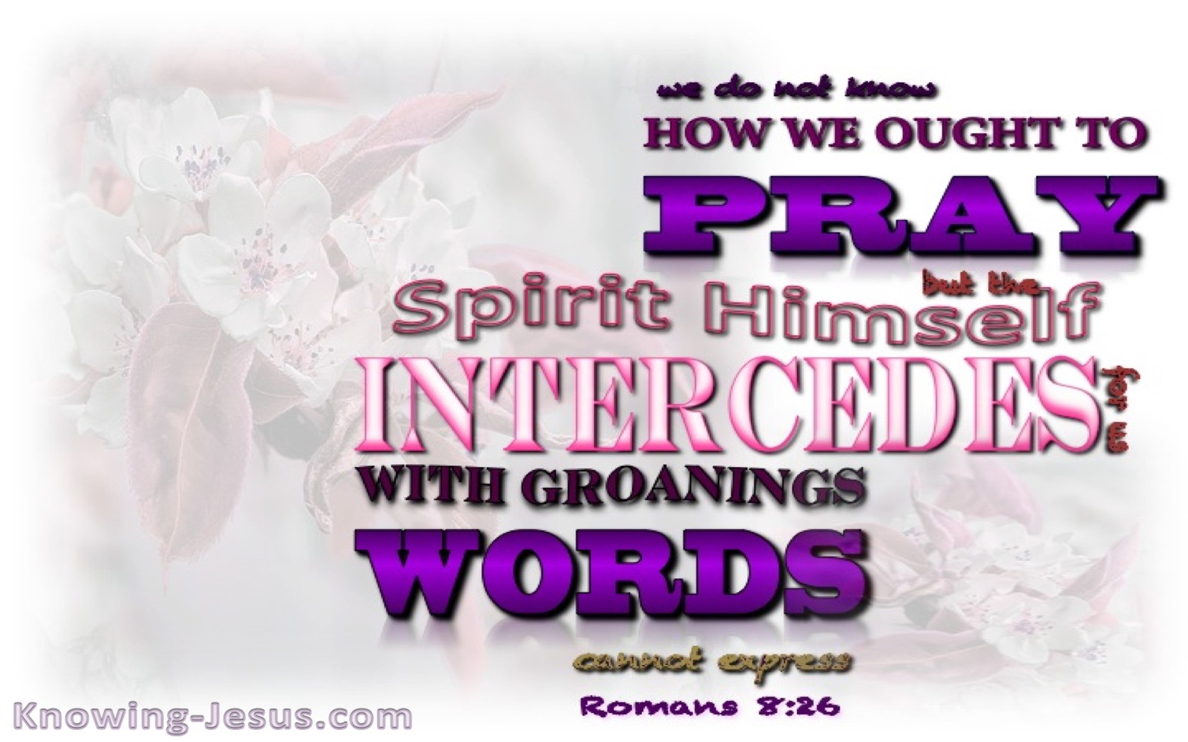 Romans 8:26 The Spirit Intercedes (purple)
